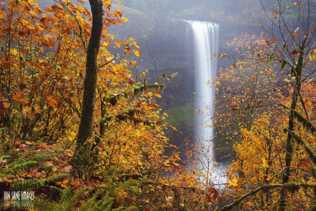 Late Autumn Waterfall